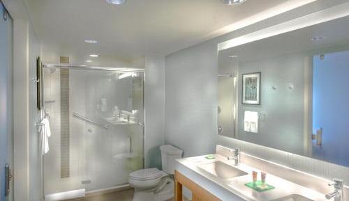 King Room with Sofa Bed and Roll-In Shower - Disability Access