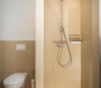Apartment with Shower