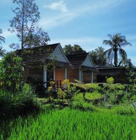 Double Room with Park View