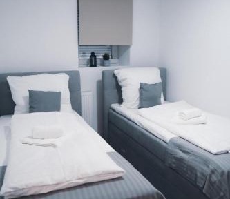 One-Bedroom Deluxe Apartment