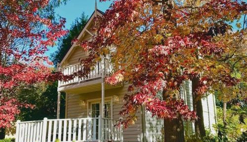 Cottage