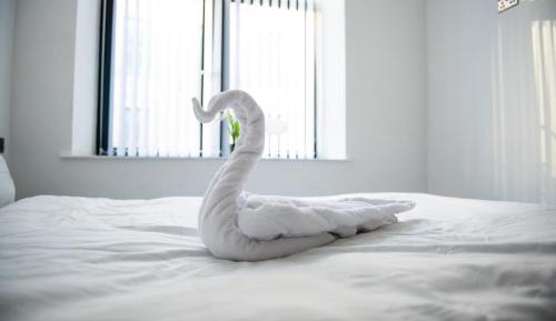 One-Bedroom Deluxe Apartment
