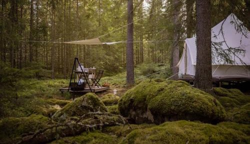 Tent