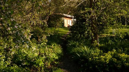 The Cabin