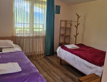 Twin Room with Mountain View