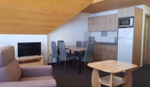 Duplex Apartment