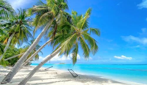 Family Room with Private Bathroom