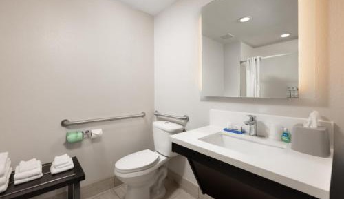 King Room - Mobility Access/Hearing Accessible