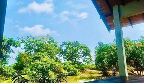 Superior Double or Twin Room with Mountain View