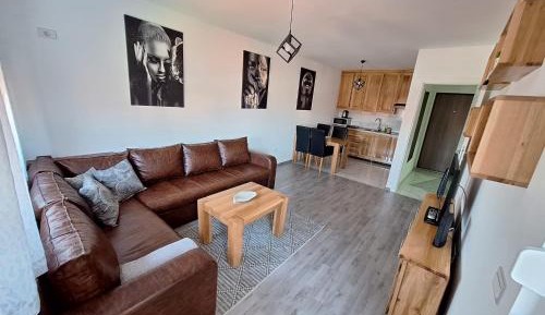 Deluxe One-Bedroom Apartment