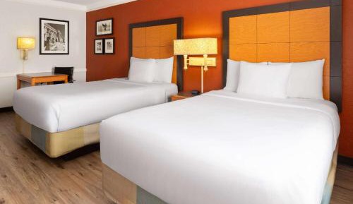 2 Double Beds, Mobility Accessible Room, Roll In Shower, Non-Smoking