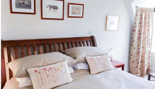 Double or Twin Room with Garden View