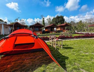 Tent