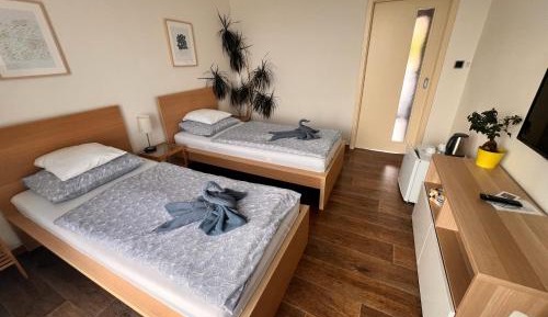 Twin Room with View