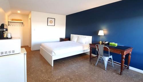 Queen Room (Pet-Friendly)