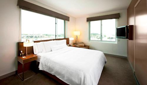 Executive Suite, 1 King, Sofa bed