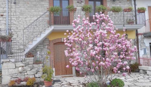 Deluxe Double Room (2 Adults + 1 Child)
