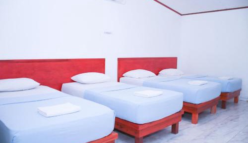 Bed in 4-Bed Dormitory Room