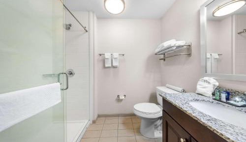 Efficiency King Suite - Non-Smoking