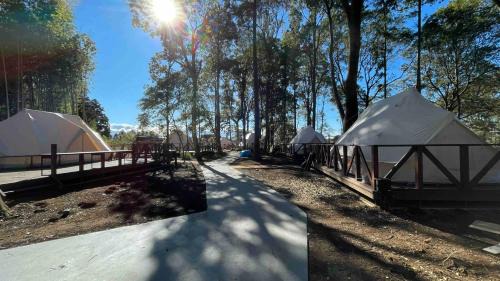 Glamping Tent - Cliff