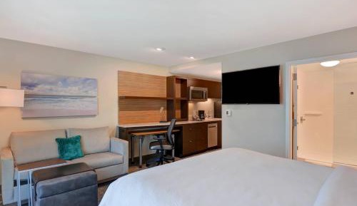 Studio, 1 King, Sofa bed