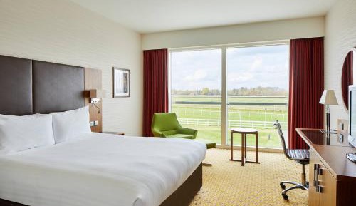 Guest Room, 1 King