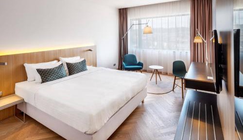 Double Room with a King Bed