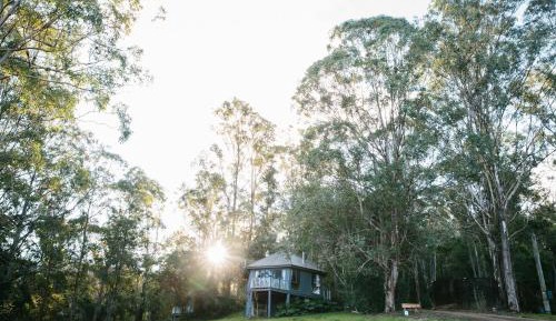 Bluegums Nest 1
