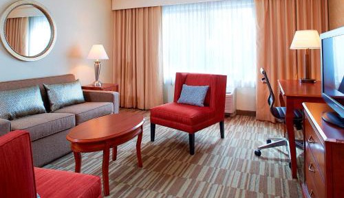 Large One-Bedroom Suite