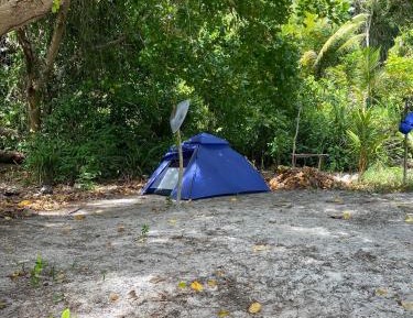Tent