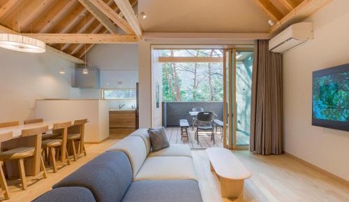 A type：Natural hot springs, sauna, zero-gravity massage chair