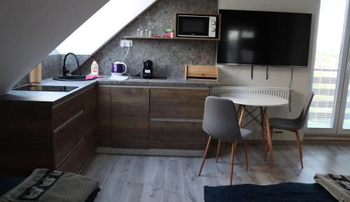 One-bedroom Loft Apartment 