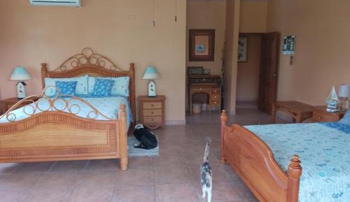 Queen Room with Sea View