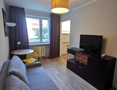 Studio with Sofa Bed