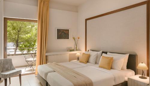 Deluxe Double or Twin Room