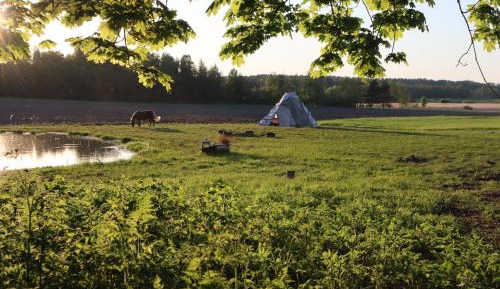 Tent