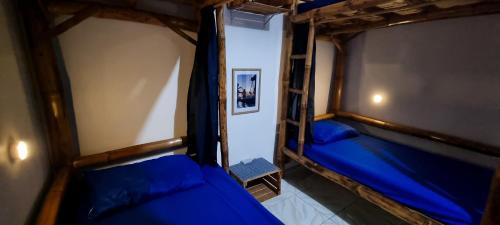 Bed in 6-Bed Mixed Dormitory Room