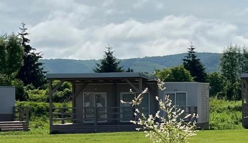 Mobile Home