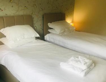 King Room with Garden View