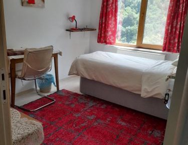 Single Room with Mountain View