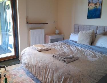 Deluxe Double or Twin Room with Balcony