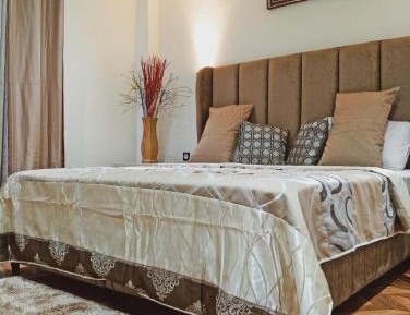 Deluxe One-Bedroom Apartment