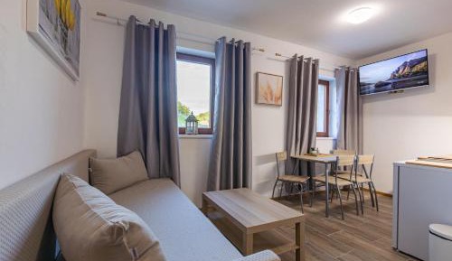 Deluxe One-Bedroom Apartment