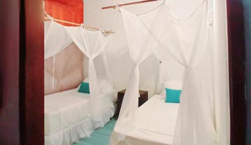 Double Room with Shared Bathroom