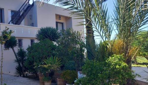 Fes Double Room