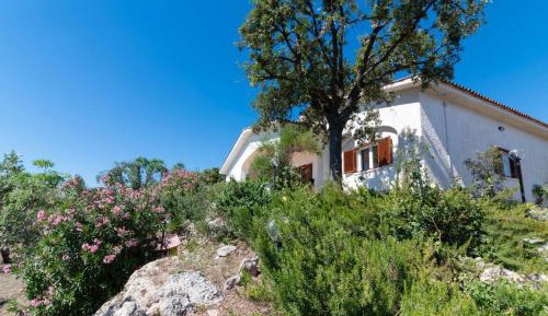 Villa with Garden View