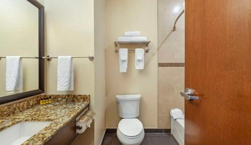 King Suite with Sofa Bed and Kitchenette - Non-Smoking