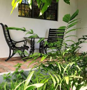Studio with Garden View