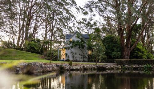 Rainforest Lodge 