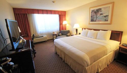 Superior King Room